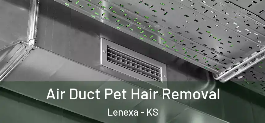 Air Duct Pet Hair Removal Lenexa - KS