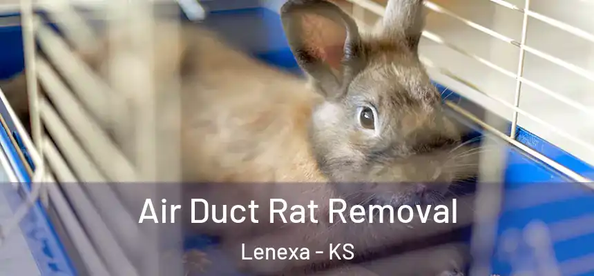 Air Duct Rat Removal Lenexa - KS