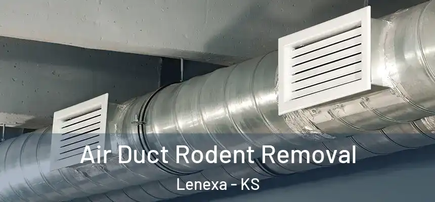  Air Duct Rodent Removal Lenexa - KS