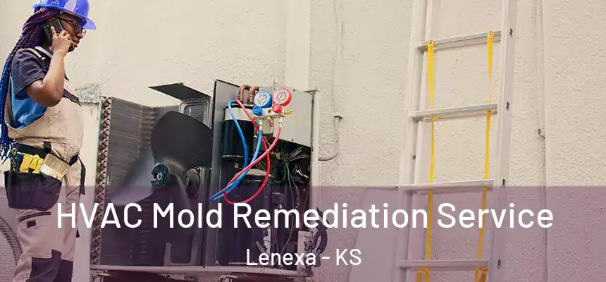  HVAC Mold Remediation Service Lenexa - KS