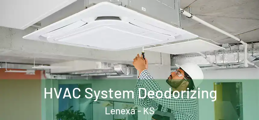 HVAC System Deodorizing Lenexa - KS