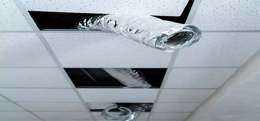 Affordable HVAC Sanitizing After Pest Removal in Lenexa