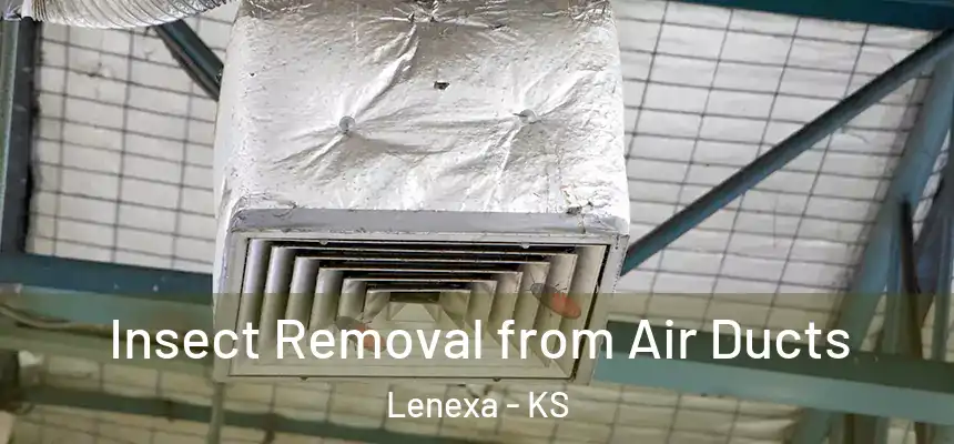 Insect Removal from Air Ducts Lenexa - KS