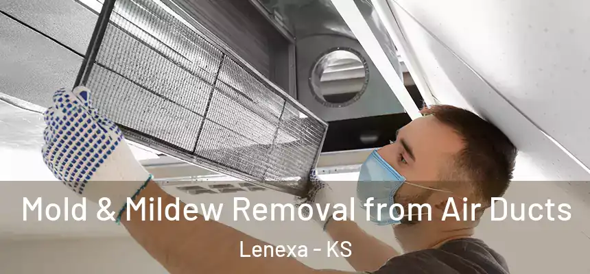 Mold & Mildew Removal from Air Ducts Lenexa - KS