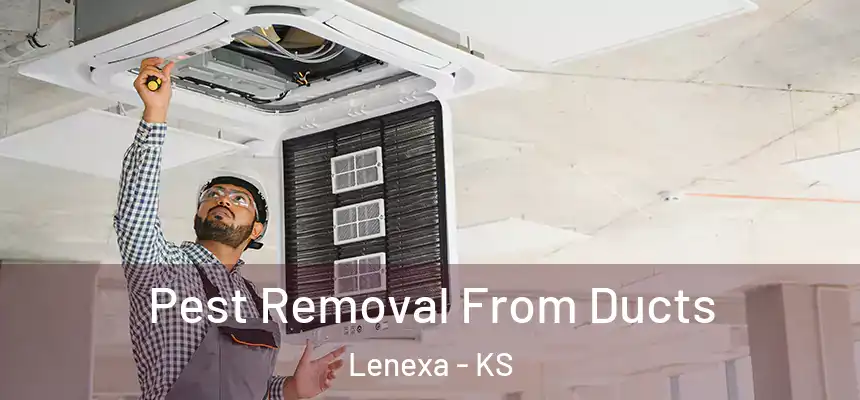  Pest Removal From Ducts Lenexa - KS