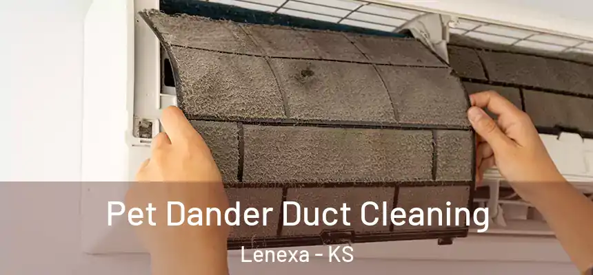  Pet Dander Duct Cleaning Lenexa - KS