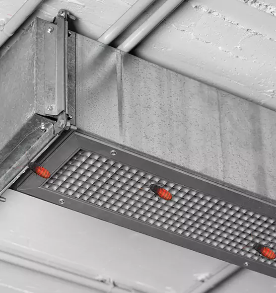 About Air Duct Cockroach Removal in Lenexa, KS