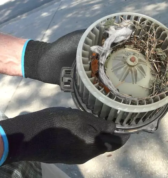 About Air Duct Rat Removal in Lenexa, KS