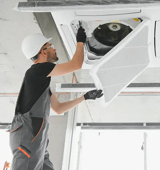 About Air Duct Rodent Removal in Lenexa, KS