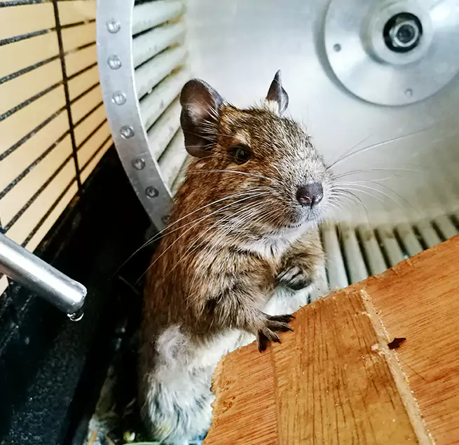 Why Homeowners & Businesses Trust Us Lenexa, KS